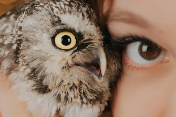 פליי פורטונה קזינו תמיכה